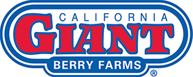 California Giant Berry Farms